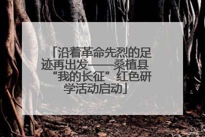 沿着革命先烈的足迹再出发——桑植县“我的长征”红色研学活动启动
