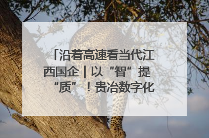 沿着高速看当代江西国企｜以“智”提“质”！贵冶数字化转型迈出新步伐