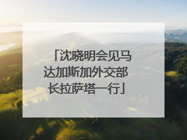 沈晓明会见马达加斯加外交部长拉萨塔一行