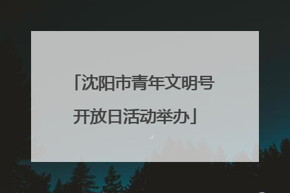 沈阳市青年文明号开放日活动举办