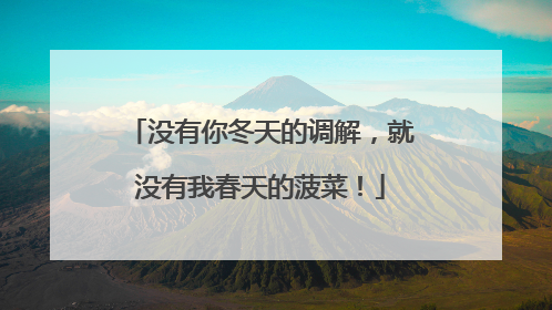 没有你冬天的调解，就没有我春天的菠菜！