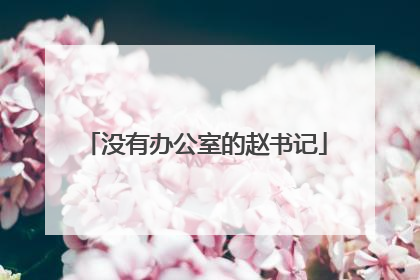 没有办公室的赵书记