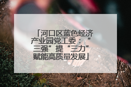 河口区蓝色经济产业园党工委：“三强”提“三力”赋能高质量发展