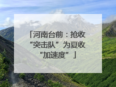 河南台前：抢收“突击队”为夏收“加速度”
