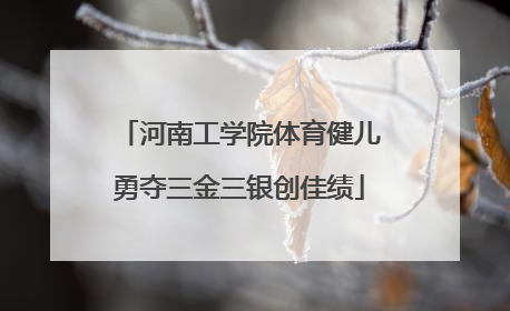 河南工学院体育健儿勇夺三金三银创佳绩
