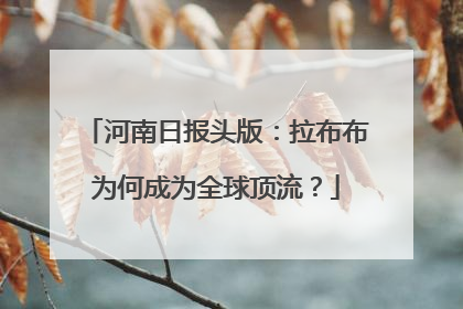河南日报头版：拉布布为何成为全球顶流？