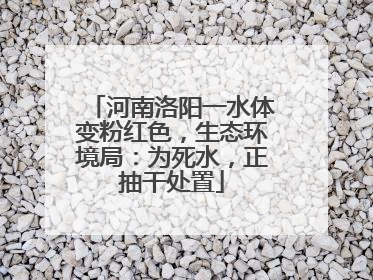 河南洛阳一水体变粉红色，生态环境局：为死水，正抽干处置