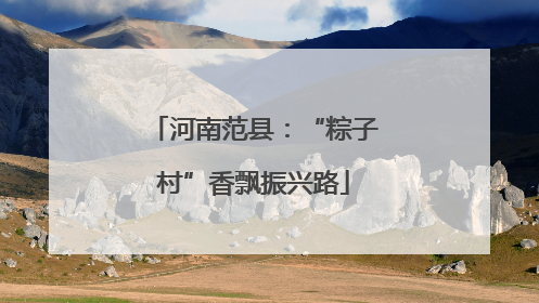 河南范县：“粽子村”香飘振兴路
