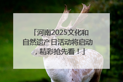 河南2025文化和自然遗产日活动将启动，精彩抢先看！