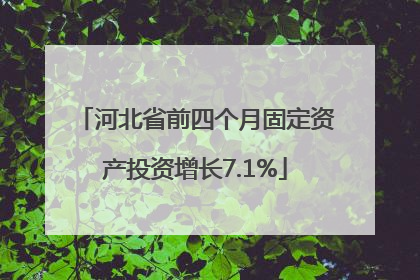 河北省前四个月固定资产投资增长7.1%