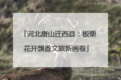 河北唐山迁西县：板栗花开飘香文旅新画卷