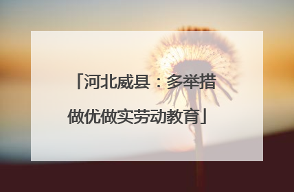 河北威县：多举措做优做实劳动教育
