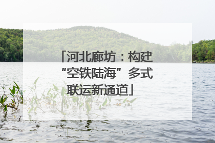 河北廊坊：构建“空铁陆海”多式联运新通道
