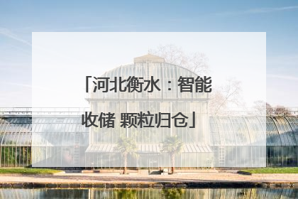 河北衡水：智能收储 颗粒归仓