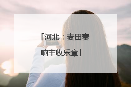 河北：麦田奏响丰收乐章