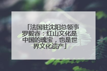 法国驻沈阳总领事罗毅睿：红山文化是中国的瑰宝，也是世界文化遗产