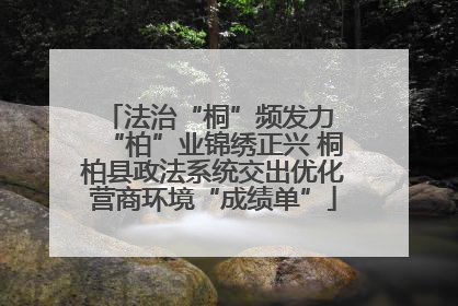 法治“桐”频发力 “柏”业锦绣正兴 桐柏县政法系统交出优化营商环境“成绩单”