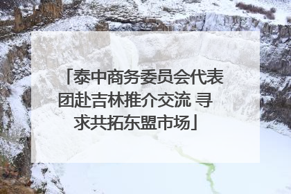泰中商务委员会代表团赴吉林推介交流 寻求共拓东盟市场