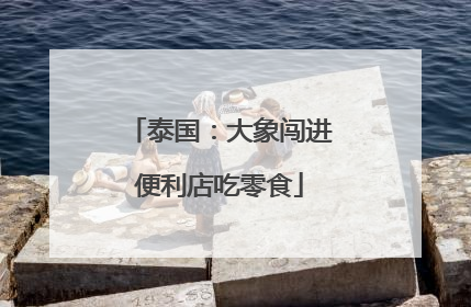 泰国：大象闯进便利店吃零食
