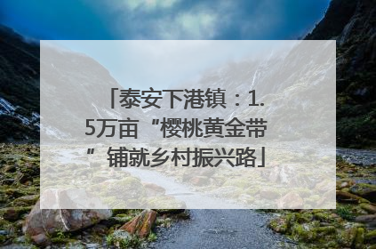 泰安下港镇：1.5万亩“樱桃黄金带”铺就乡村振兴路