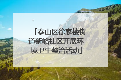 泰山区徐家楼街道新峪社区开展环境卫生整治活动
