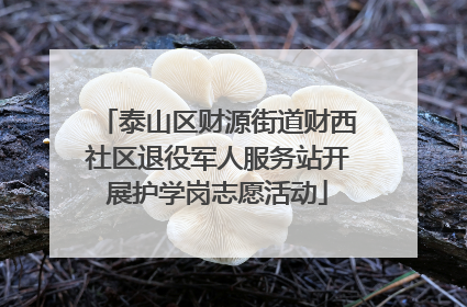 泰山区财源街道财西社区退役军人服务站开展护学岗志愿活动