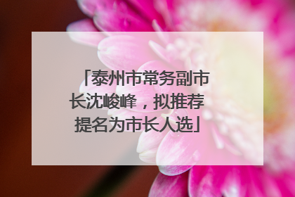 泰州市常务副市长沈峻峰，拟推荐提名为市长人选