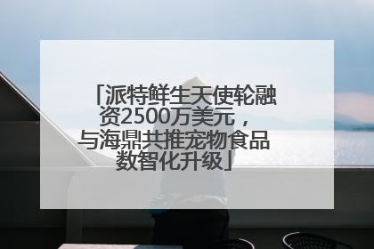 派特鲜生天使轮融资2500万美元，与海鼎共推宠物食品数智化升级