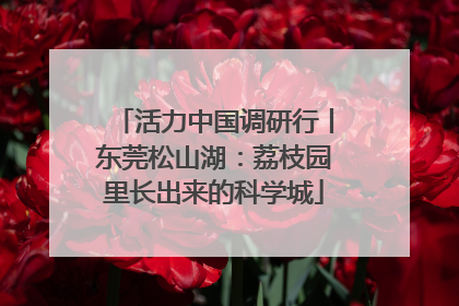 活力中国调研行丨东莞松山湖：荔枝园里长出来的科学城