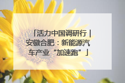 活力中国调研行｜安徽合肥：新能源汽车产业“加速跑”