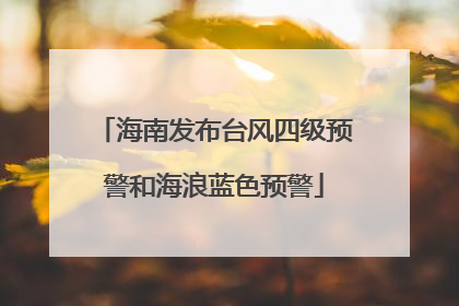 海南发布台风四级预警和海浪蓝色预警