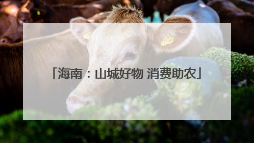 海南：山城好物 消费助农