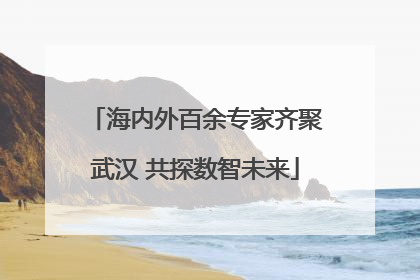 海内外百余专家齐聚武汉 共探数智未来