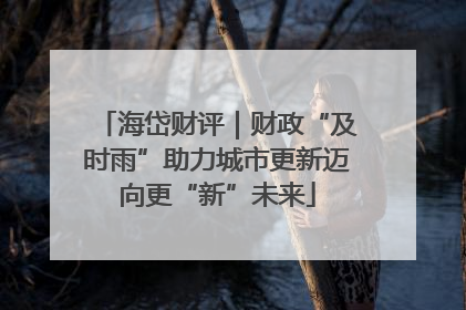 海岱财评｜财政“及时雨”助力城市更新迈向更“新”未来