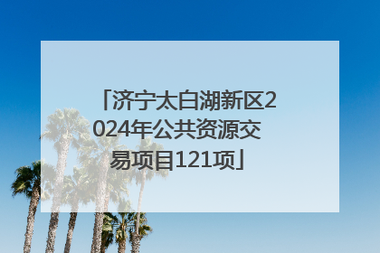 济宁太白湖新区2024年公共资源交易项目121项