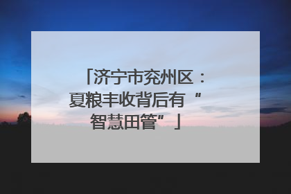 济宁市兖州区：夏粮丰收背后有“智慧田管”