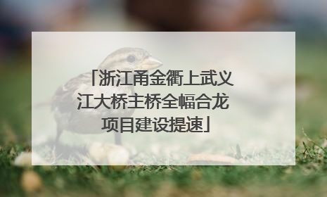 浙江甬金衢上武义江大桥主桥全幅合龙 项目建设提速