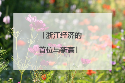 浙江经济的首位与新高