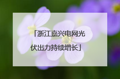 浙江嘉兴电网光伏出力持续增长