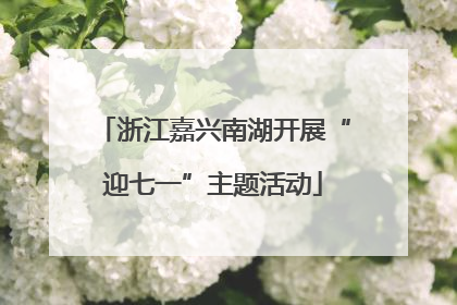 浙江嘉兴南湖开展“迎七一”主题活动