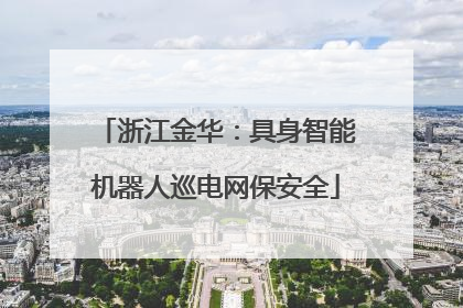 浙江金华：具身智能机器人巡电网保安全