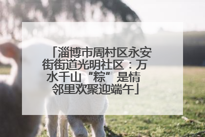 淄博市周村区永安街街道光明社区：万水千山“粽”是情 邻里欢聚迎端午