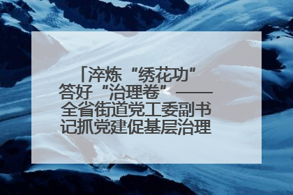 淬炼“绣花功” 答好“治理卷”——全省街道党工委副书记抓党建促基层治理培训示范班侧记