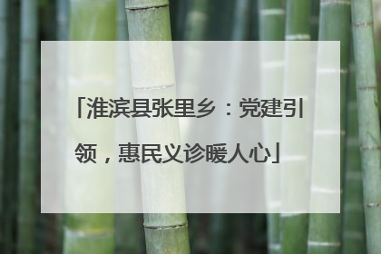 淮滨县张里乡：党建引领，惠民义诊暖人心