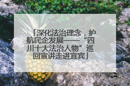 深化法治理念，护航民企发展——“四川十大法治人物”巡回宣讲走进宜宾