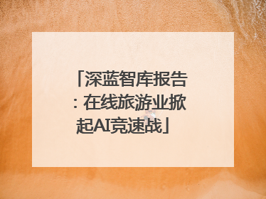 深蓝智库报告：在线旅游业掀起AI竞速战