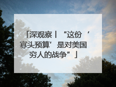 深观察丨“这份‘寡头预算’是对美国穷人的战争”