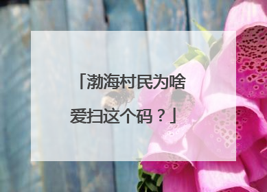 渤海村民为啥爱扫这个码？