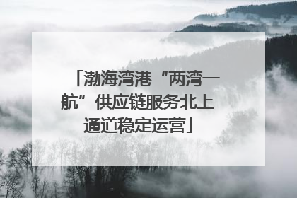 渤海湾港“两湾一航”供应链服务北上通道稳定运营
