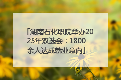 湖南石化职院举办2025年双选会：1800余人达成就业意向